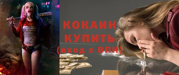 трава Бородино
