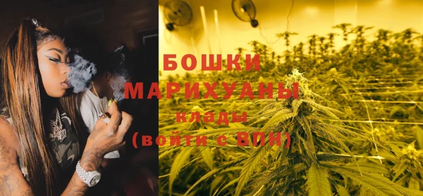 трава Бородино