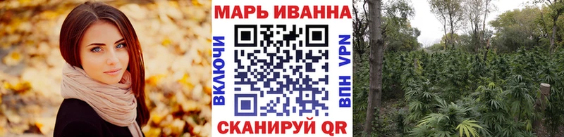 закладка  Меленки  Канабис ГИДРОПОН 